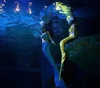 成都附近动物城,成都周边动物乐园