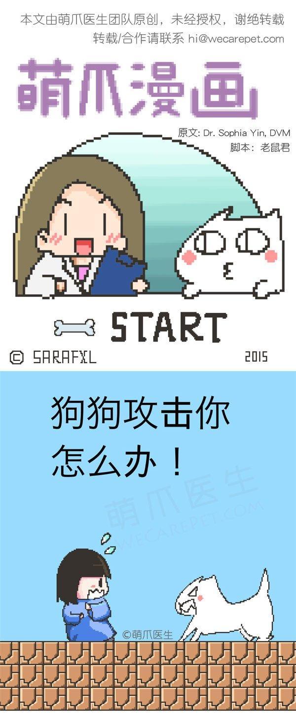 遇到狗狗攻击怎么办,遇到狗攻击人怎么自救卡通