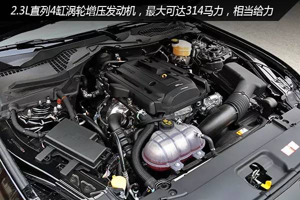 白色野马mustang提车,海淘车