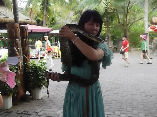 青青淡淡游、SANYA,欢快度过每一天