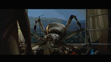 密集恐惧症慎点完整版,密集恐惧症