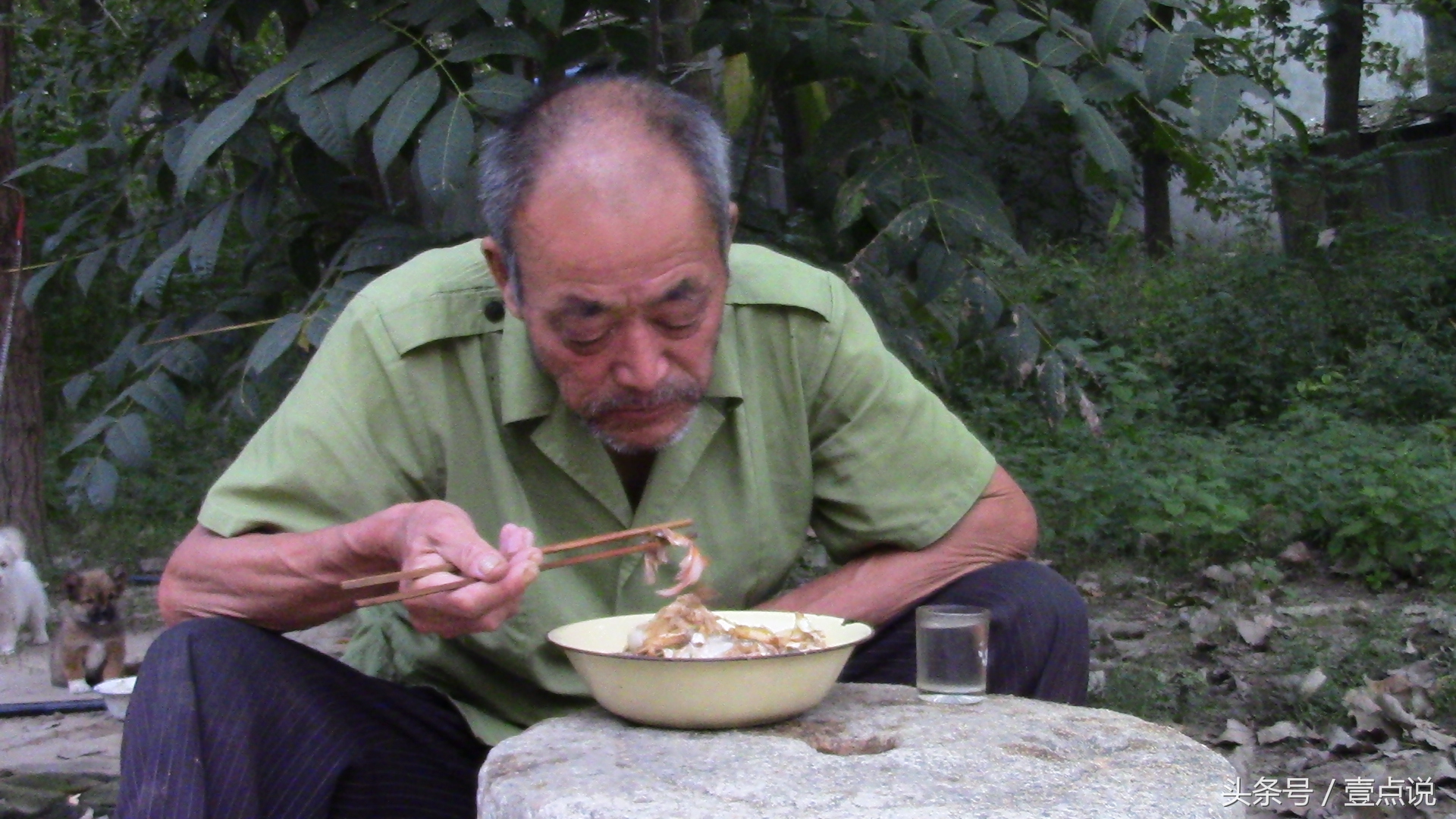 野草遮不住太阳的光芒是什么意思,草遮不住鹰眼水遮不住鱼眼