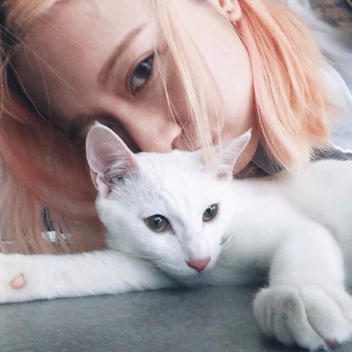 领养的猫咪经常生虫，有皮肤病，肿么办？