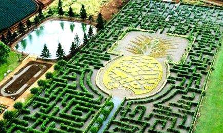 要去旅游的十个地点,去这八个地方迟早会出人头地