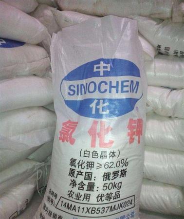 红日商学院——作物缺氯会怎么样?