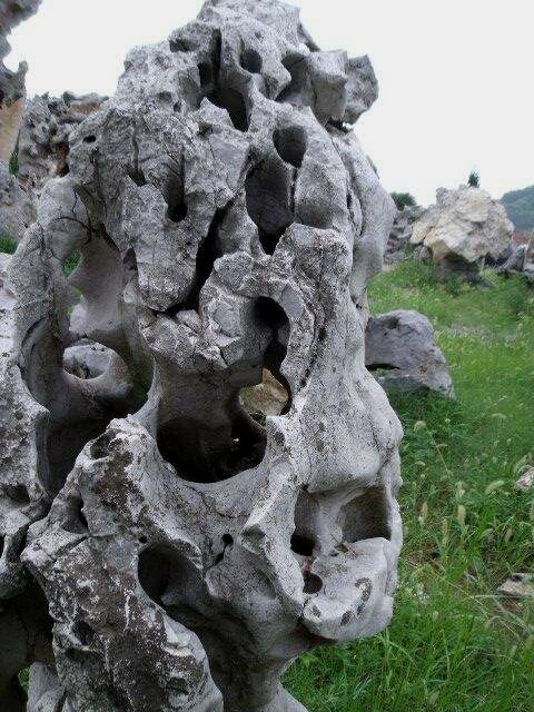 奇石收藏太湖石灵璧石,太湖石真假鉴定方法