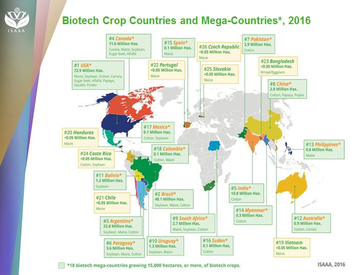 全球最新转基因农作物,全球四大转基因作物包括
