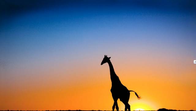 风情非洲｜肯尼亚，野性躁动之美