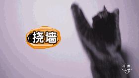 适合圆脸万圣节妆容教程,万圣节搞笑妆容教程