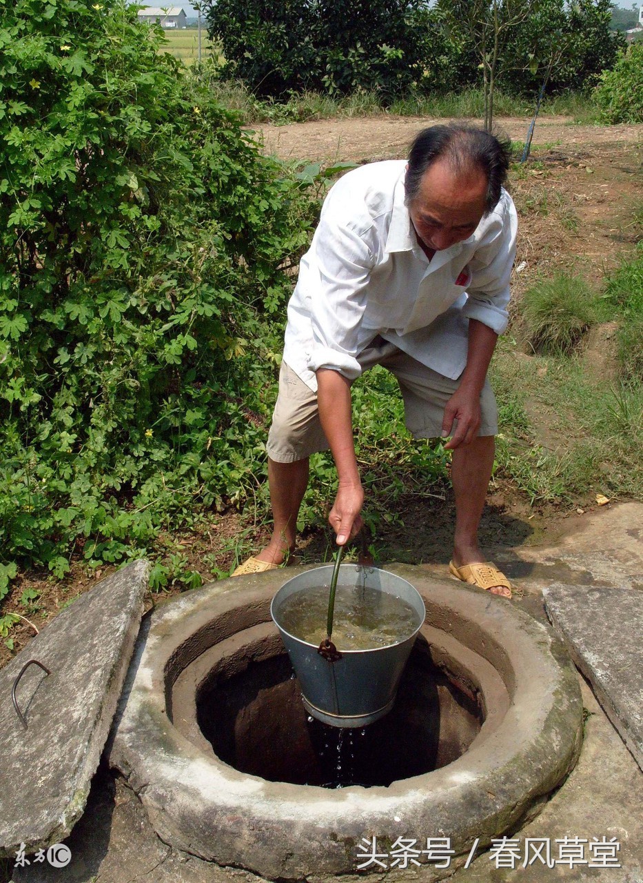 老魏说事,老魏说事47集