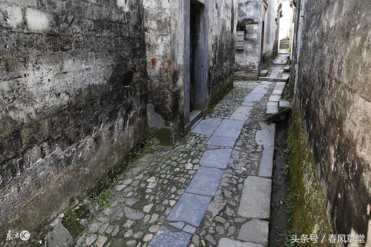 老魏说事,老魏说事47集