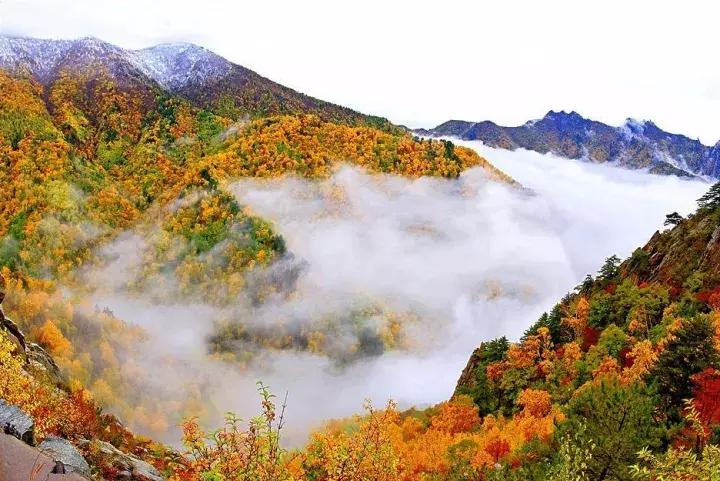 每逢佳节倍思亲又是一年九重阳,九九重阳每逢佳节倍思亲