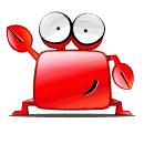 澳洲进口的大闸蟹,澳洲超市里的冰冻大闸蟹