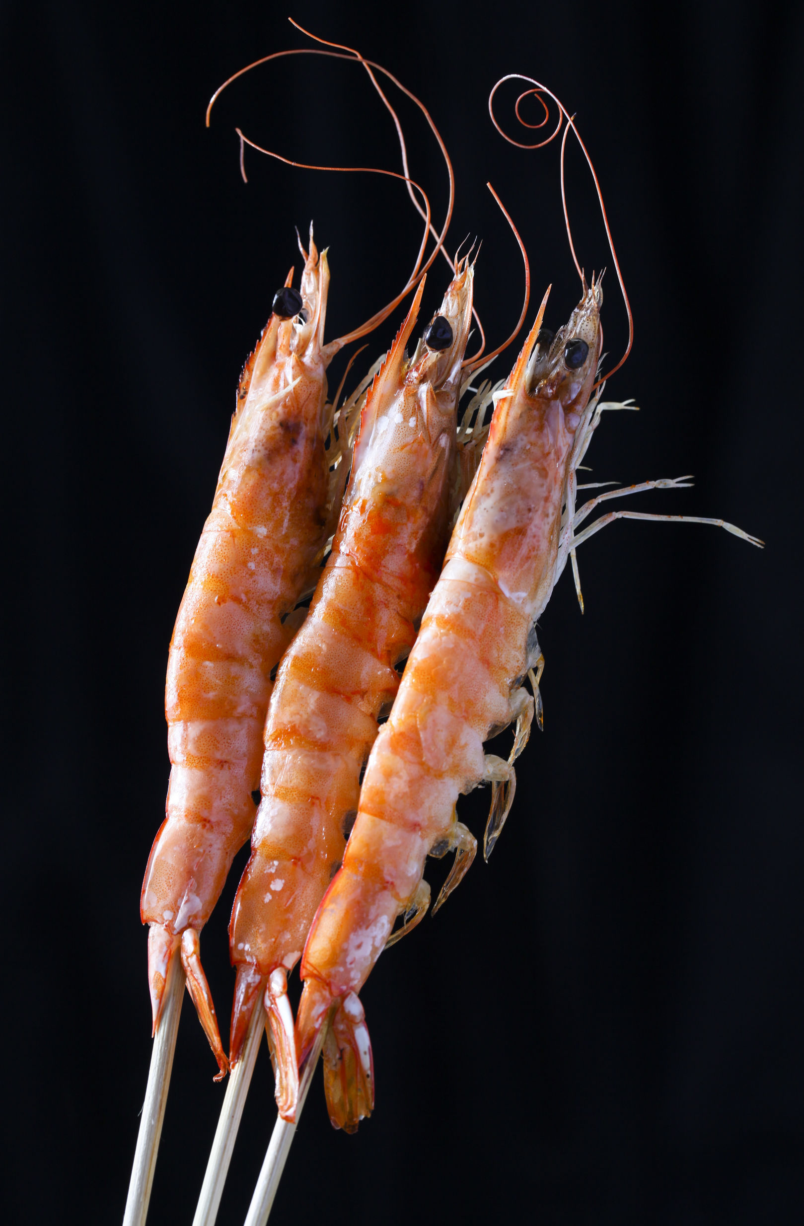 虾的功效与作用及禁忌,虾与什么食物之间有禁忌