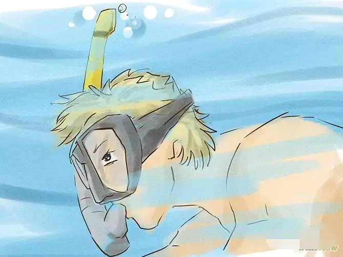 浮潜必须要知道的事,浮潜须知