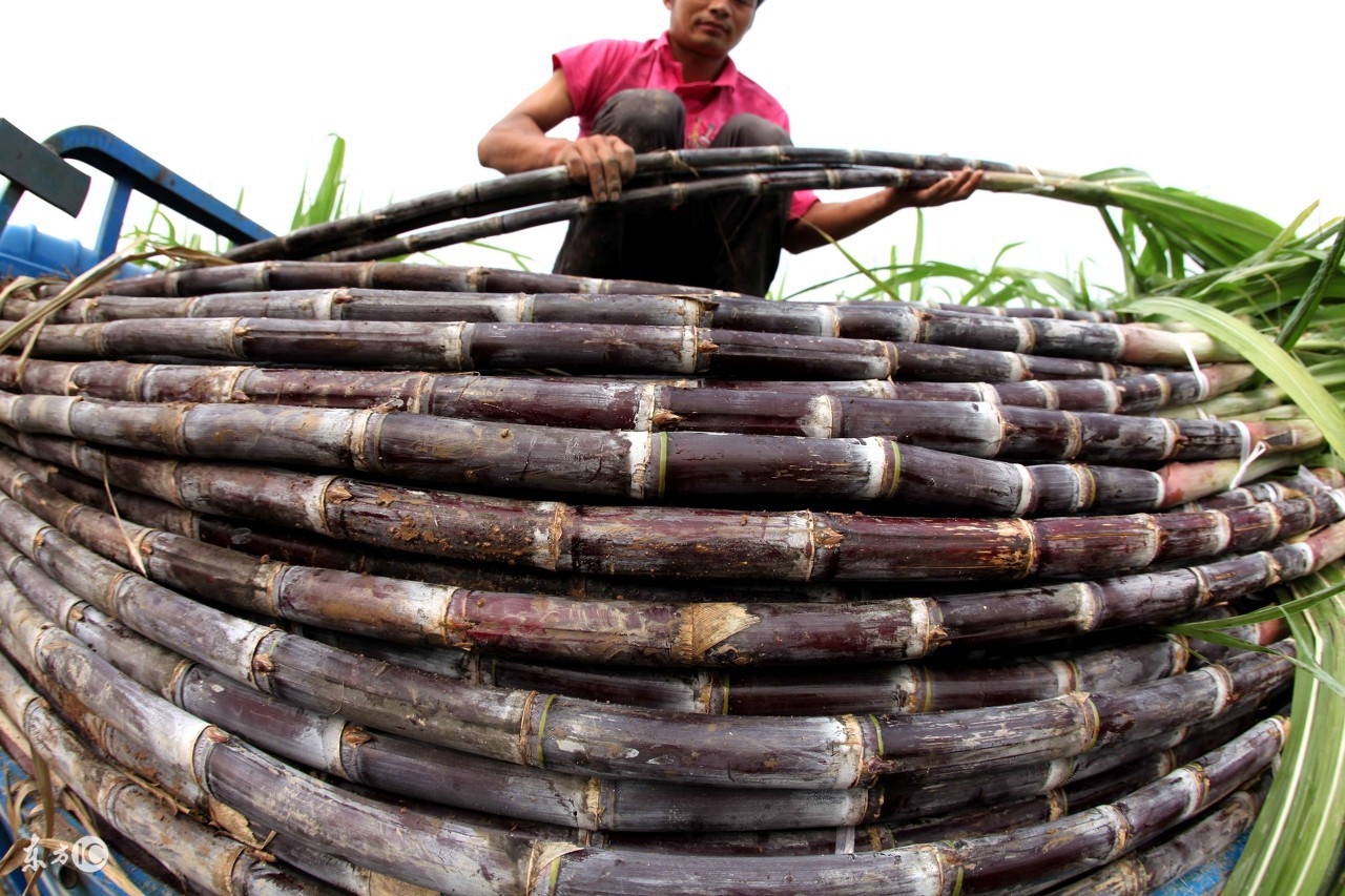 喉咙痛不能吃什么食物和水果,喉咙痛吃什么水果最快最有效
