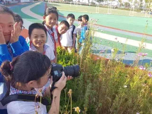 青岛高新区汇海小学怎么样,青岛市河套街道汇海小学