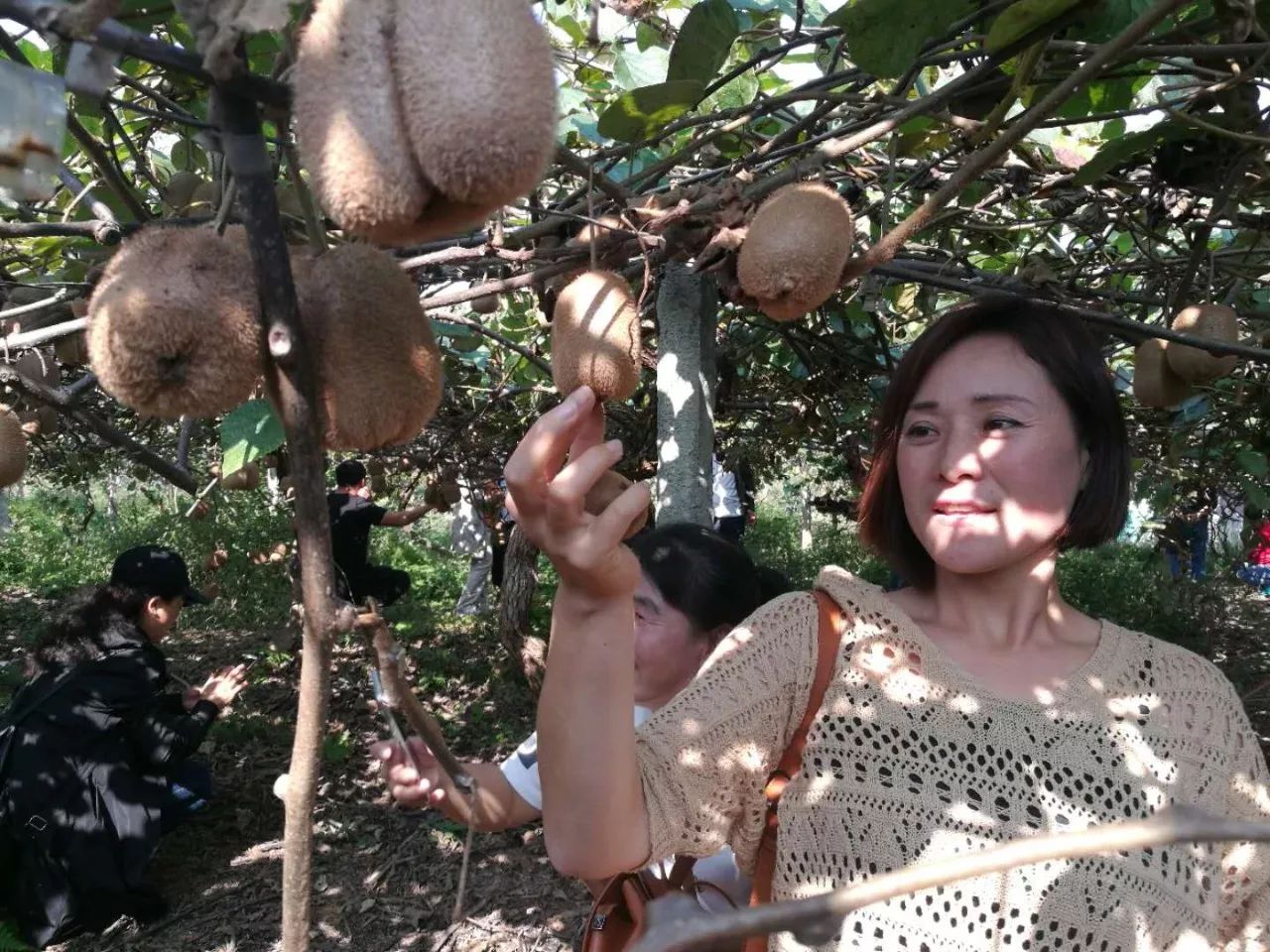 「心韵」农场主，我一生的追求！