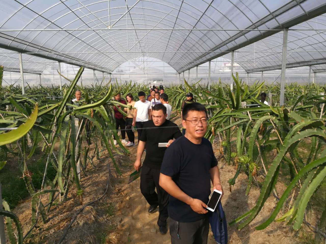 「心韵」农场主，我一生的追求！