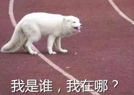 双十一剁手照,双十一剁手前后的你