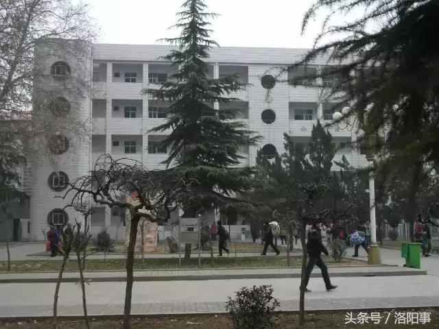 洛阳最有魅力的高中,洛阳市最牛逼的高等专科学校