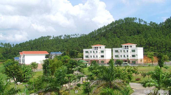 广东最美森林式温泉,广东阳西咸水温泉