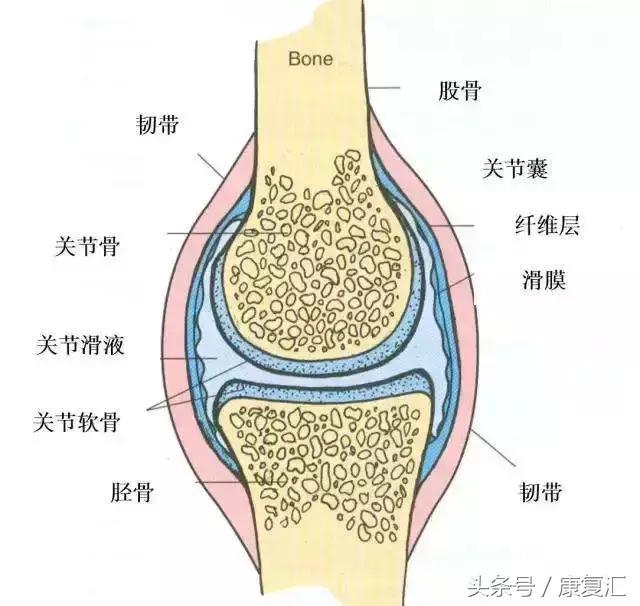 轻度慢性滑膜炎的康复锻炼,滑膜炎治疗方法和康复训练