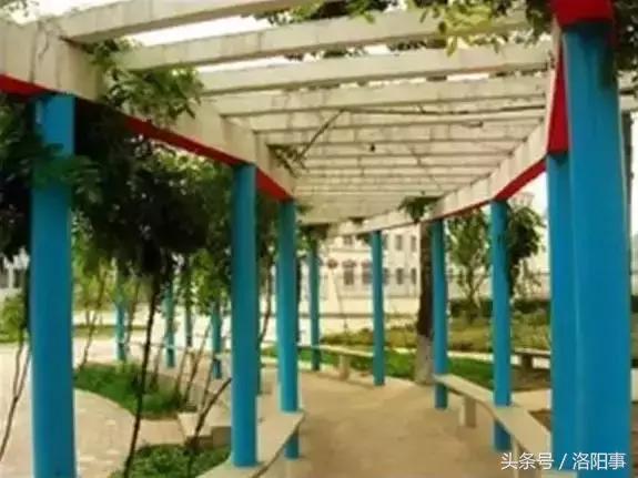 洛阳比较好的高中有哪些,洛阳优质高中有几所