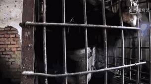 看了让人非常难受的高分电影,这辈子都不想看的电影