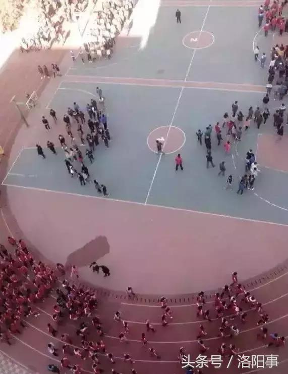 洛阳比较好的高中有哪些,洛阳优质高中有几所