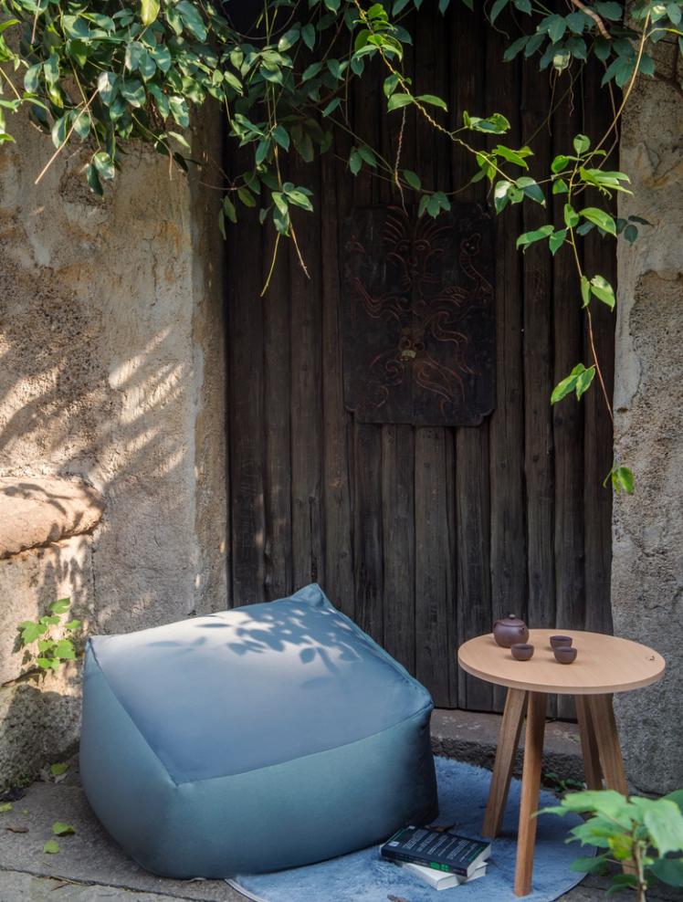 世界上体型最大的动物排行榜,世界十大体型最大的动物