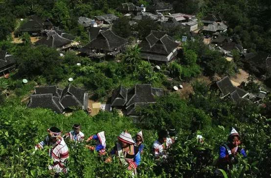 一幅图看懂普洱茶产区,普洱茶产区细分图
