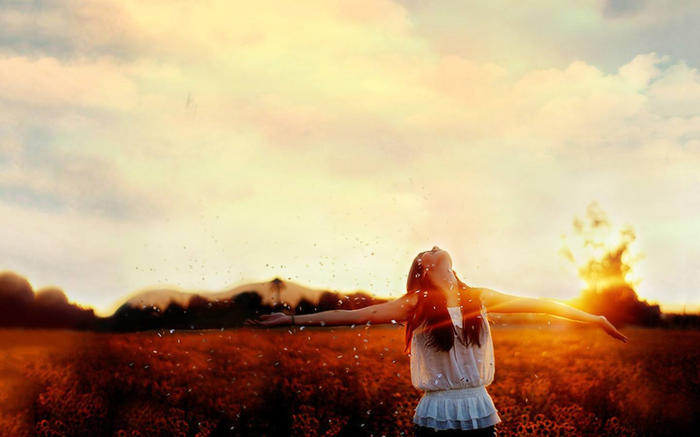 心诺老师谈真爱,心诺抑郁症