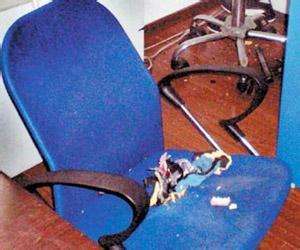 菊花藏雷,菊花下藏雷图片