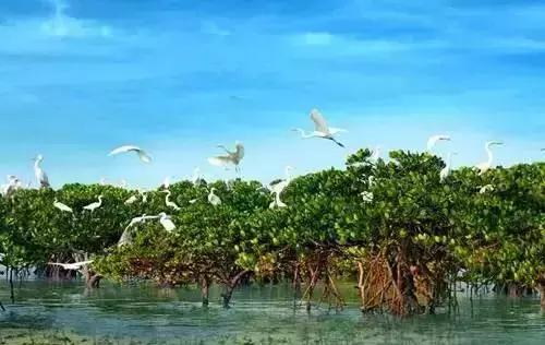 贵州都匀至北海五天四夜游,黔南到北海旅游攻略