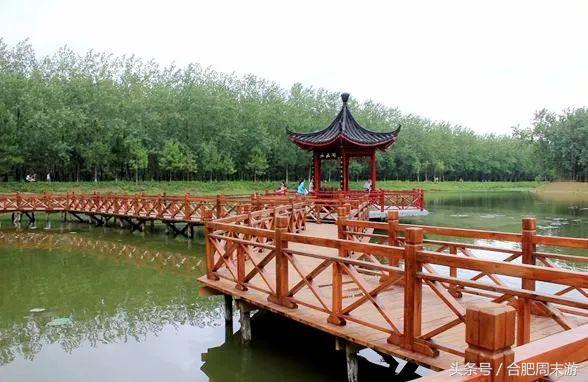 2022浜斾竴鍚堣偉鍏嶈垂鏅尯,鍚堣偉鍏嶈垂鐜╂櫙鍖哄叏鍚嶅崟