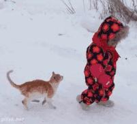 美妆各大品牌的王牌产品,美妆排行榜前十名彩妆