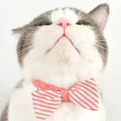 断奶痛,回奶痛有什么办法缓解