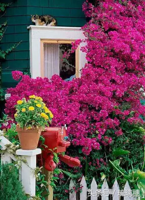 最近经典的句子简短精致句句入心,简短精辟的句子一针见血句句入心