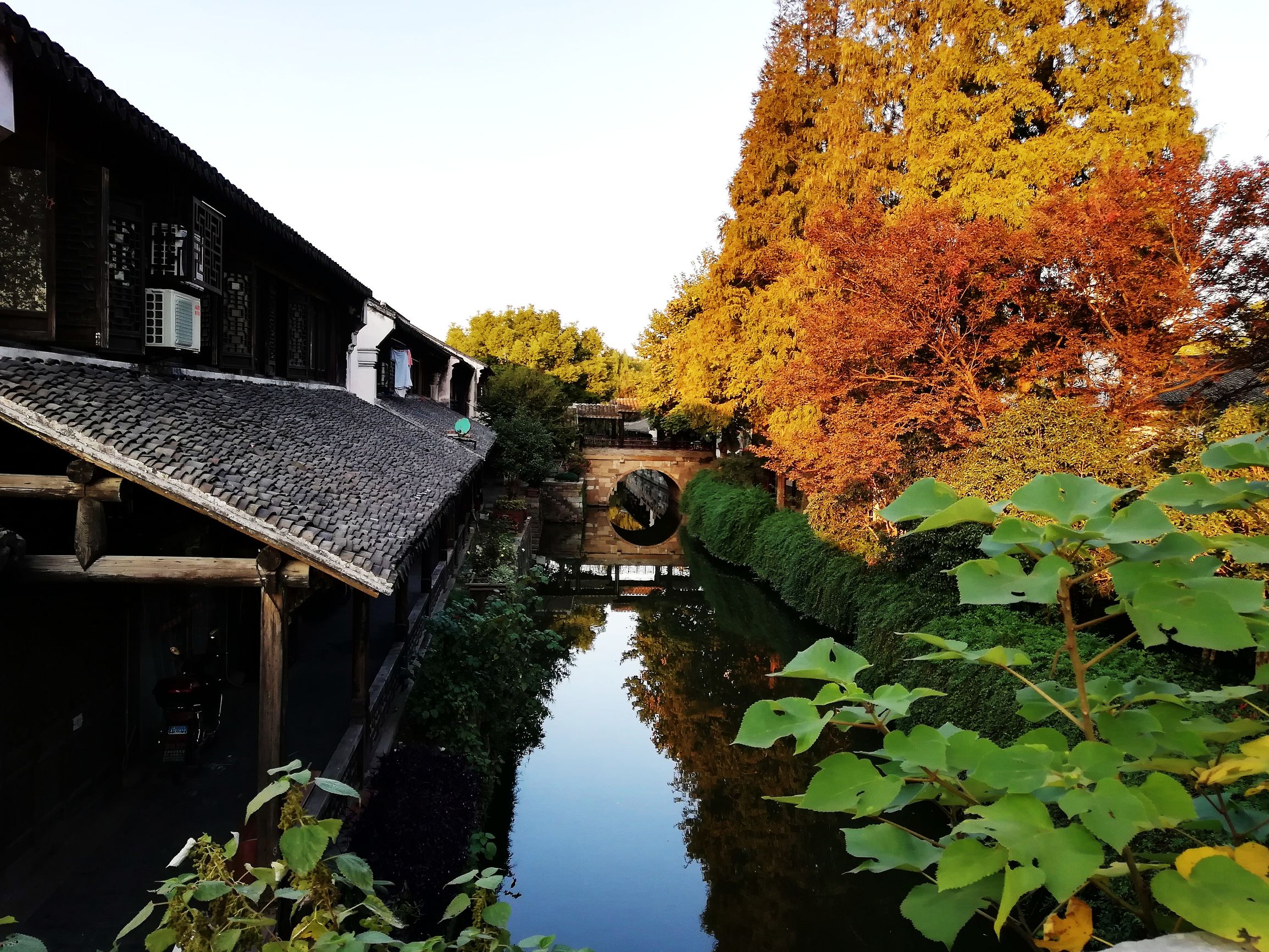 上海好玩地方推荐枫泾古镇,上海金山枫泾古镇地址