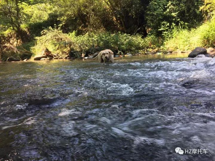 大玩具yamahaMT-07