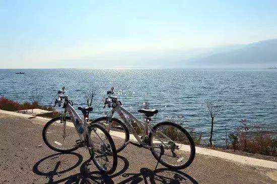 大理是个怎样的城市,大理一个无情又冷漠的城市