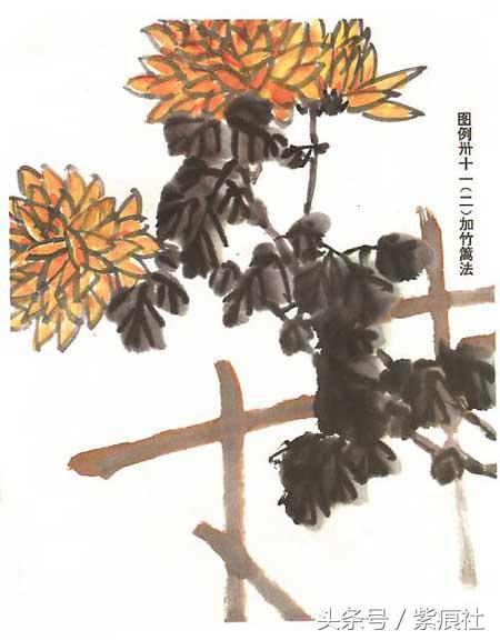 国画中球形菊花怎么画好看,名家画菊花的简单画法
