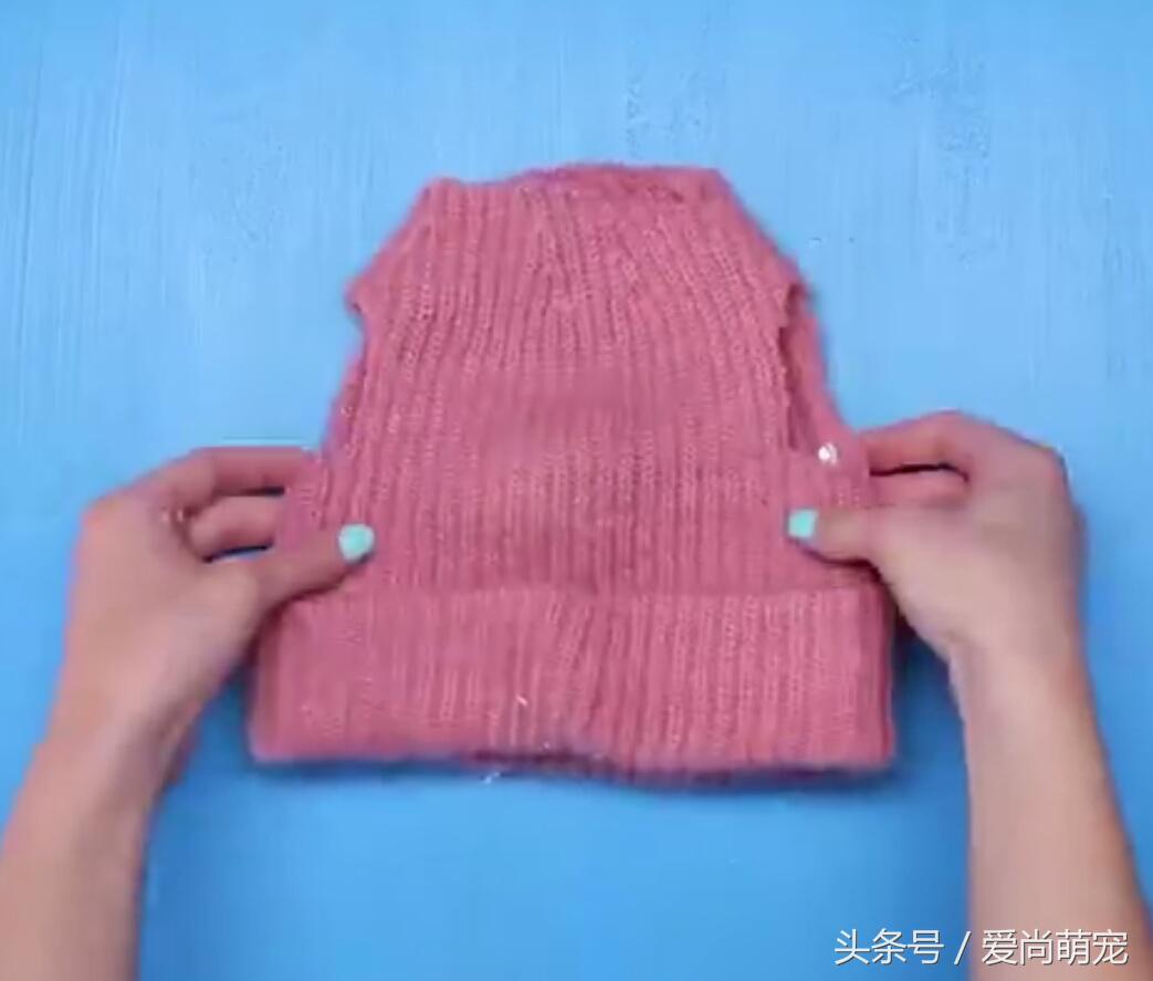 怎么给狗狗自制保暖衣,diy金毛狗狗衣服