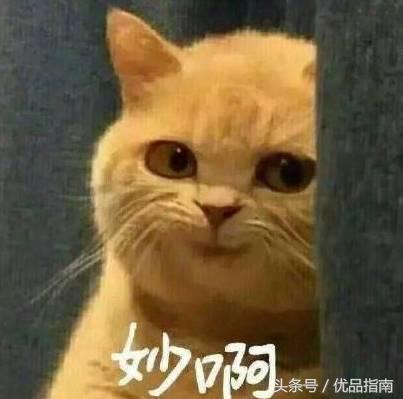 日常口红推荐几支,日常必买的10款口红是哪款