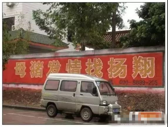 哪一句广告词让你记住了这个饲料品牌,大北农?新希望?双胞胎?