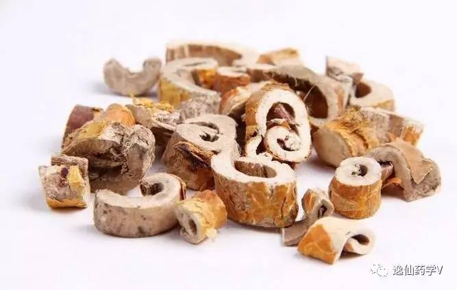 一个植物多个来源的中药,功效相似的药材有哪些中药