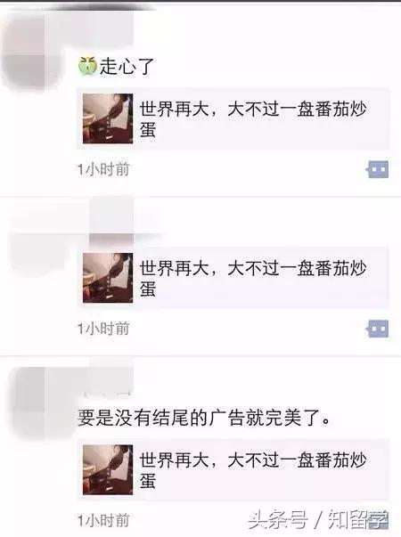 留学生与番茄炒蛋,外国学校番茄炒蛋