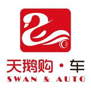 天鹅购车,天鹅精品二手车