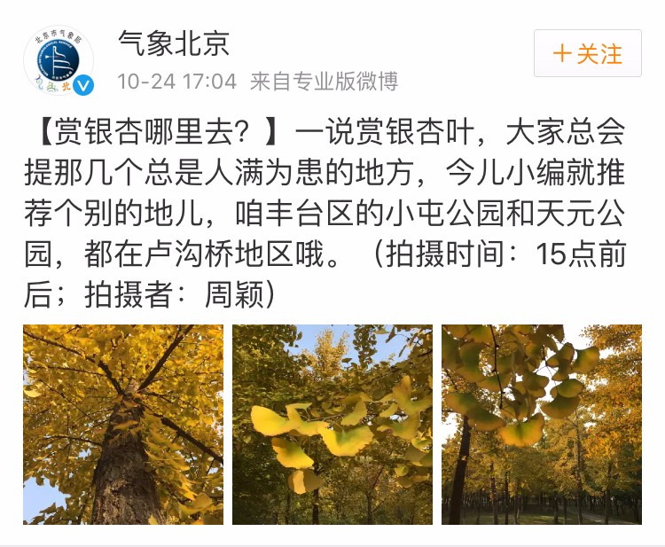 京城赏秋打卡胜地,京城赏荷最佳路线图